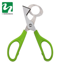 The lowest price stainless steel quail scissors